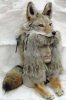 122280315_coyote-fur-mountain-man-hat-face-full-pelt-rare-new-ebay.jpg