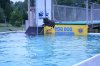Cianna and Anna dock dive1.jpg