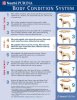 dog body condition chart.jpg
