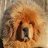 Tibetan Mastiff Groomer
