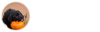 Mastiff Forum
